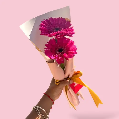 Mini Ramo Gerbera Duo