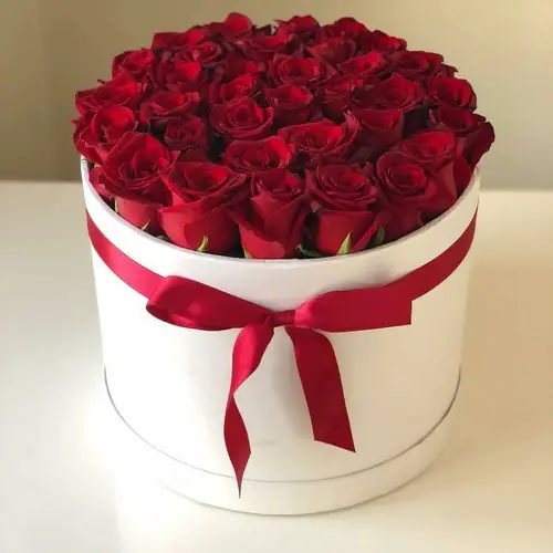 Box 24 rosas rojas