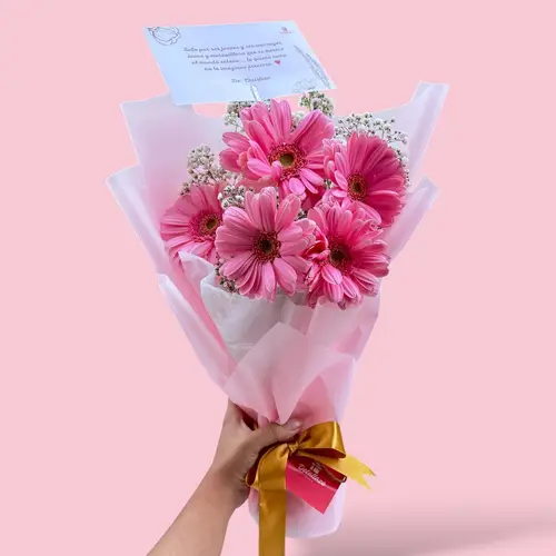 Ramo Pink Gerberas