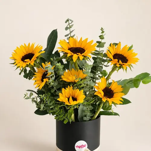 Box Alegría 7 Girasoles