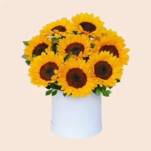 Box Sol Radiante 10 Girasoles